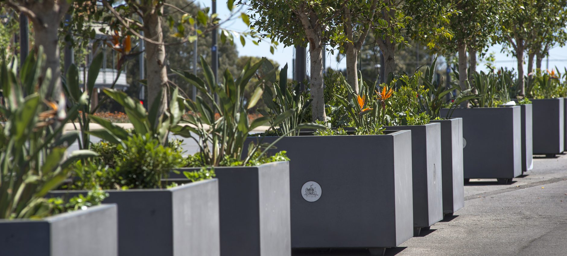 Adelaide Planter Box Project Space Landscape Construction